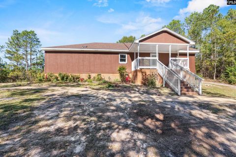 Photo of 263 Sugar Loaf Road, Gaston, SC 29053 (MLS # 629416)