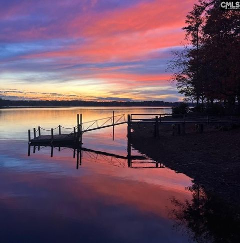 Photo of 315 Old Landing Court, Chapin, SC 29036 (MLS # 607515)