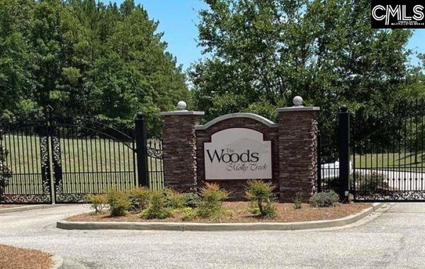 290 RETREAT WAY, RIDGEWAY, SC 29130 - Image 174c8e9bc8eb512f3d50bf4b18b88d06/1098544865