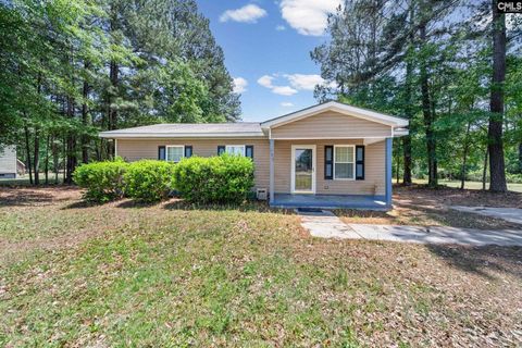 Photo of 153 Windchime Lane, Orangeburg, SC 29118 (MLS # 634355)