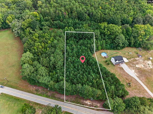 101 APPALOOSA DR, LEXINGTON, SC 29072 - Image 17aa6dbcbab0a25f3749e5f2d0d36f5e/823601021