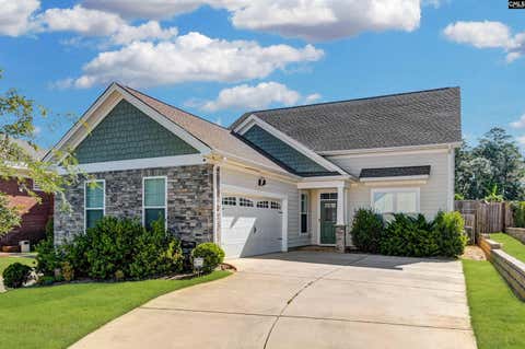 Photo of 222 Bowyer Court, Chapin, SC 29036 (MLS # 636012)