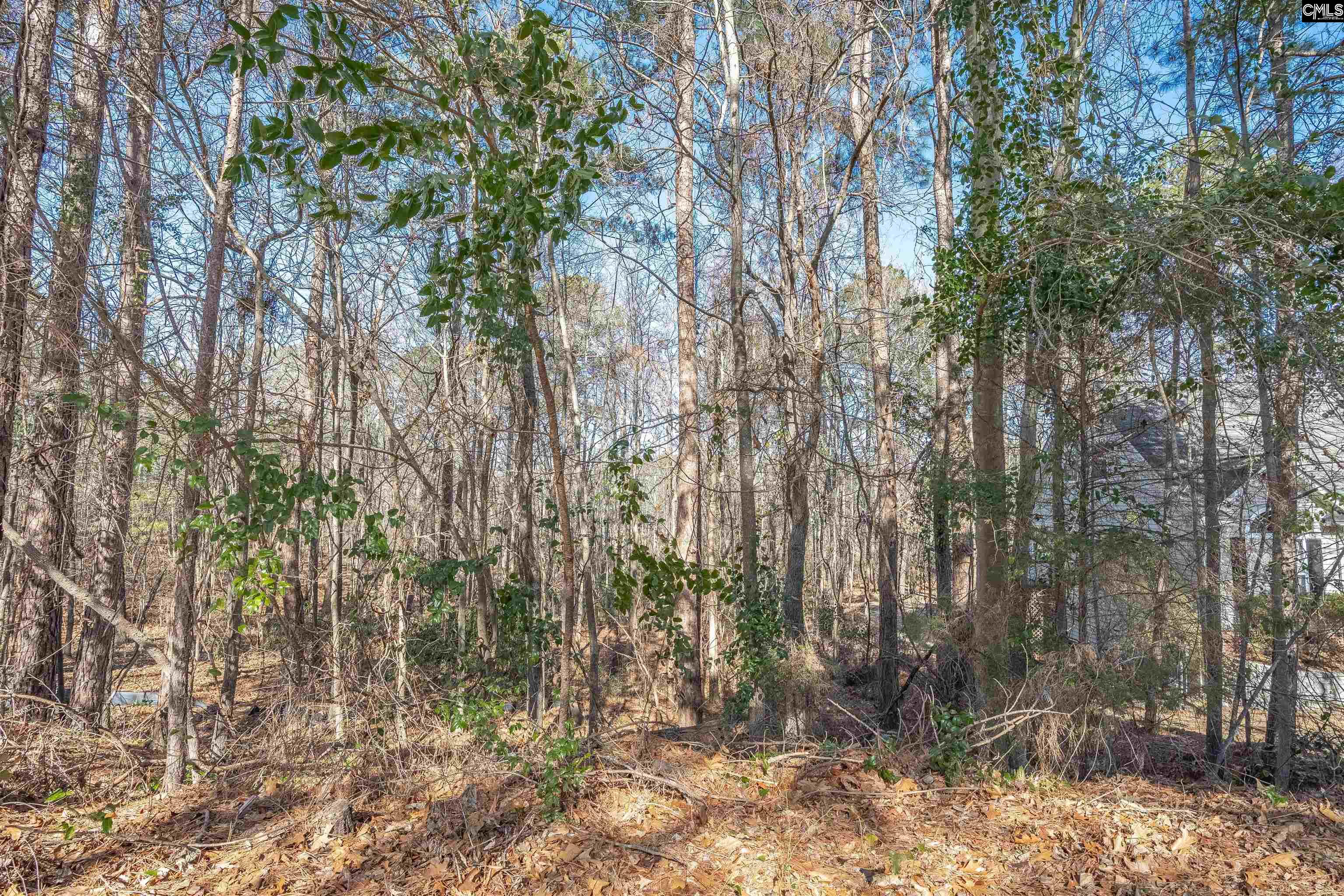 Photo 1 of 24 — 220 Waterville Drive, Columbia, SC 29229