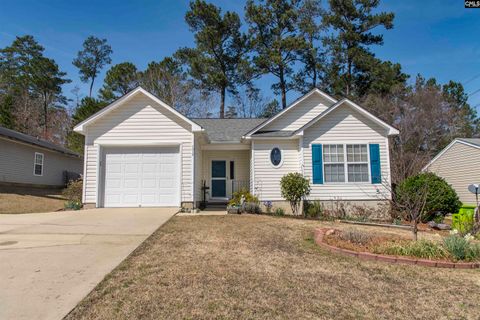 Photo of 1017 Aderley Oak Drive, Irmo, SC 29063 (MLS # 628438)