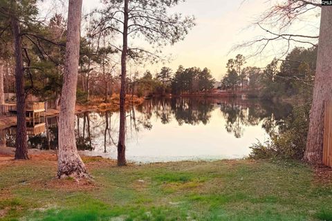 Photo of 197 Shadowbrook Way, Camden, SC 29020 (MLS # 628340)