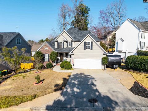 Photo of 105 Moontide Court, Lexington, SC 29072 (MLS # 628245)