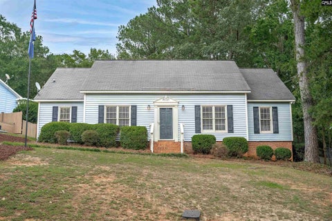 Photo of 123 Firebranch Street, Columbia, SC 29212 (MLS # 643405)