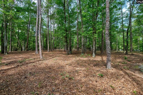 Photo of 8 Cedar Place, Camden, SC 29020 (MLS # 637424)