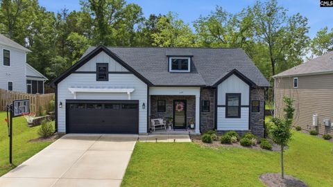 Photo of 149 Collins Cove Drive Dr, Chapin, SC 29036 (MLS # 634982)