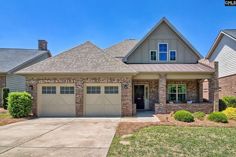 Photo of 724 Xander Way, Chapin, SC 29036 (MLS # 634400)