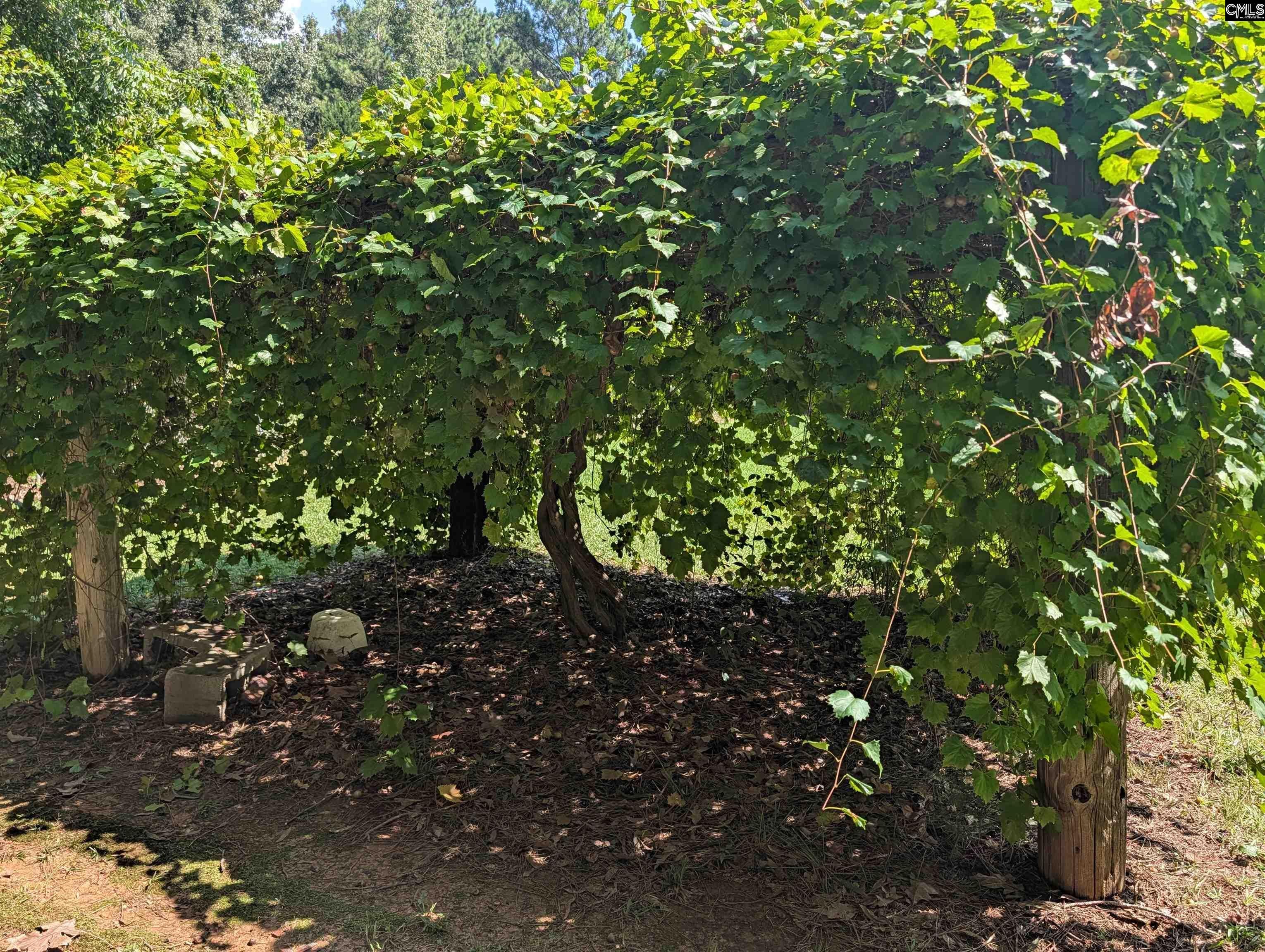 00 Nature Way