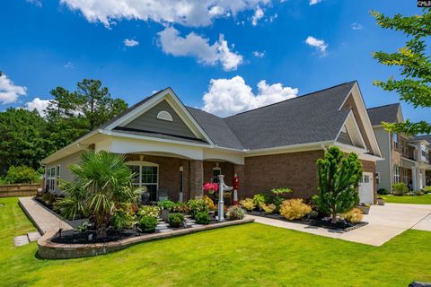 A home in Chapin