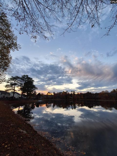 Photo of 405 Magnolia Tree Road, Lexington, SC 29073 (MLS # 627894)