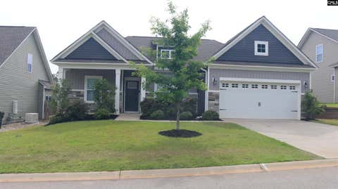 Photo of 155 Doolittle Drive, Chapin, SC 29036 (MLS # 636028)