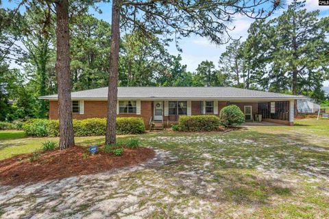 Photo of 1041 Lynn Drive, West Columbia, SC 29170 (MLS # 635147)