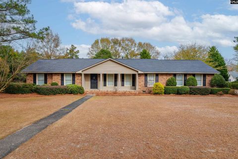 Photo of 219 Mill Creek Road, Lexington, SC 29072 (MLS # 623691)