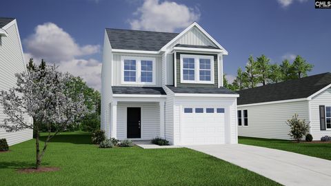 Photo of 213 Laurinton Farms Drive, Hopkins, SC 29061 (MLS # 620177)