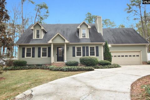 Photo of 249 Fox Run Drive, Hopkins, SC 29061 (MLS # 622873)
