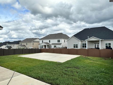 A home in Chapin