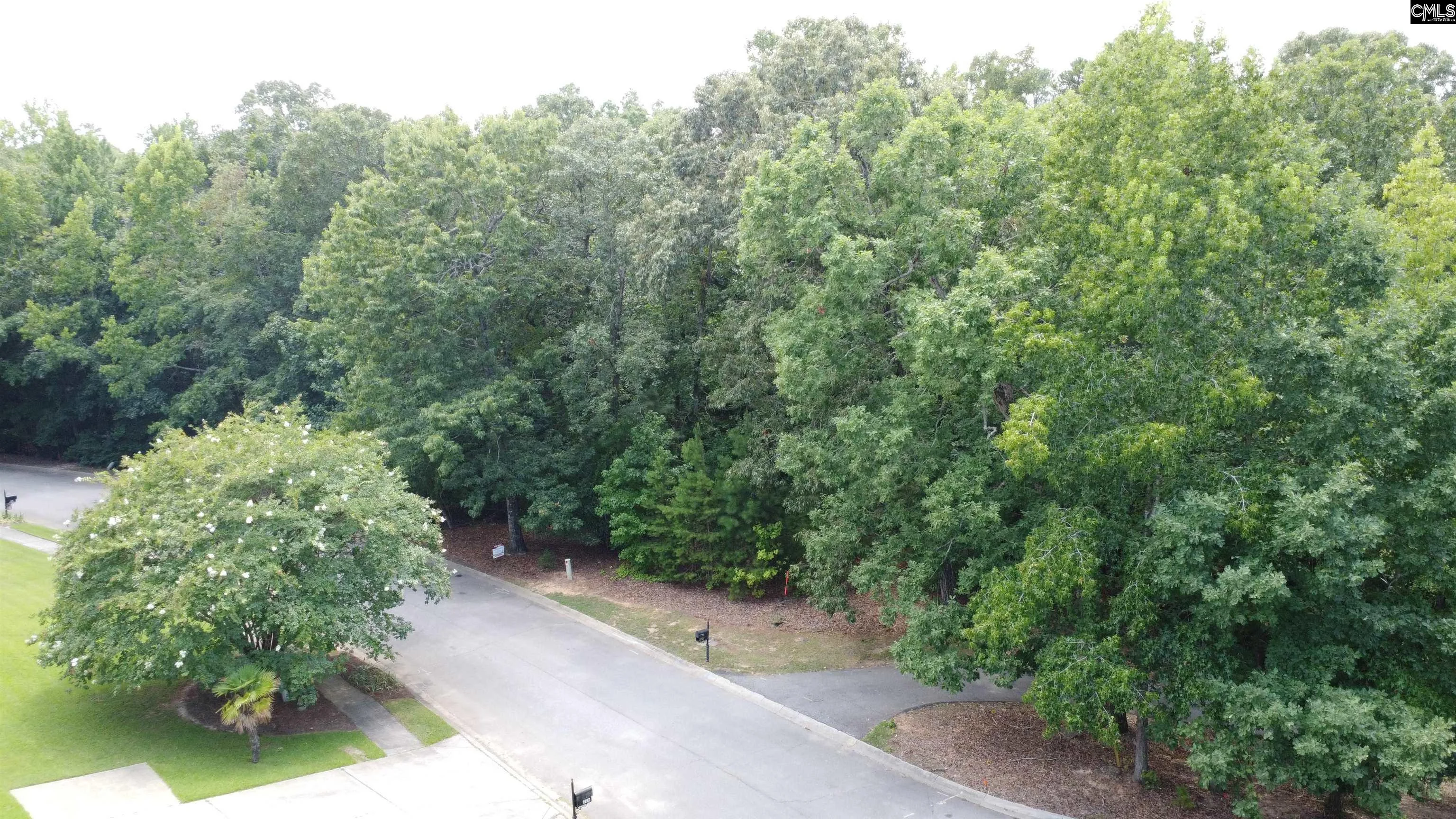 221 Leventis Lane