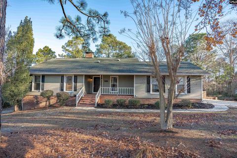 Photo of 612 Valhalla Drive, Columbia, SC 29229 (MLS # 623720)