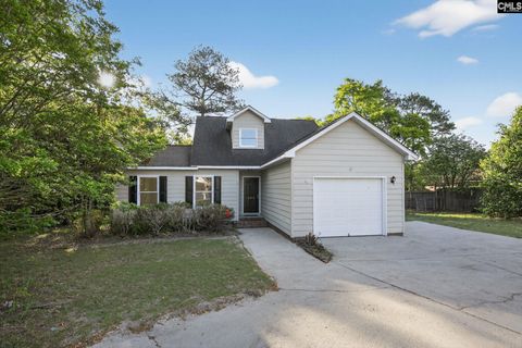 Photo of 223 Hermitage Road, Lexington, SC 29072 (MLS # 630913)