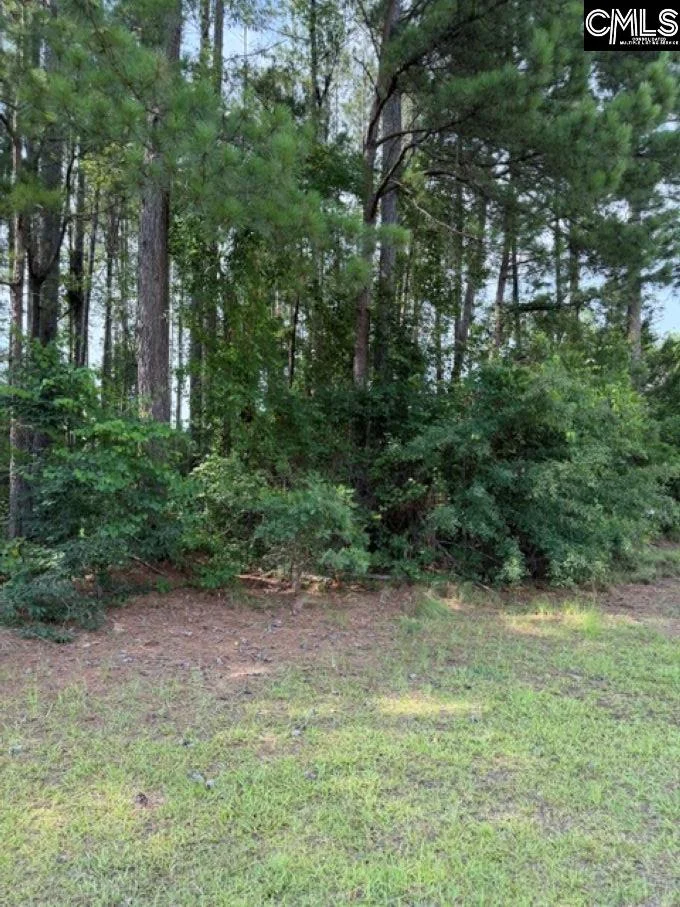 2140 Watersong Run, Sumter, SC, 29150