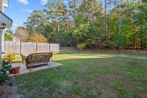 A home in Chapin