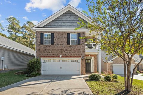 A home in Chapin