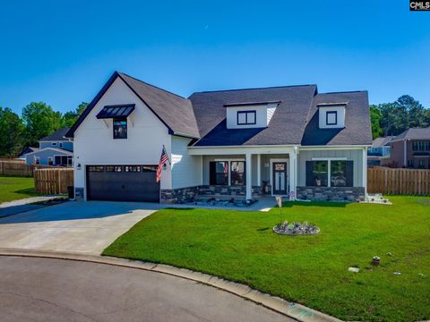 Photo of 41 Elk Run Court, Chapin, SC 29036 (MLS # 634952)