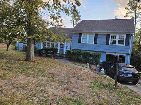 Photo of 817 Merriwether Drive, North Augusta, SC 29841 (MLS # 622220)