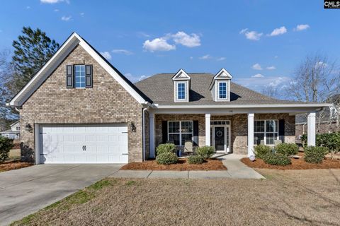 Photo of 148 Living Waters Boulevard, Lexington, SC 29073 (MLS # 627833)