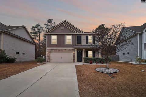 Photo of 430 Blue Garden Way, Columbia, SC 29223 (MLS # 623589)