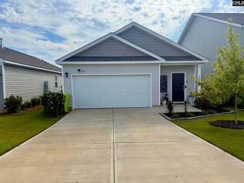 Photo of 125 Hunters Branch Drive, Hopkins, SC 29061 (MLS # 622933)