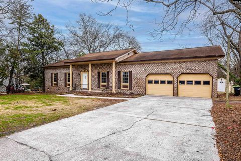Photo of 122 Old Chapin Road, Lexington, SC 29072 (MLS # 629066)