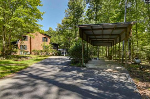 A home in Chapin