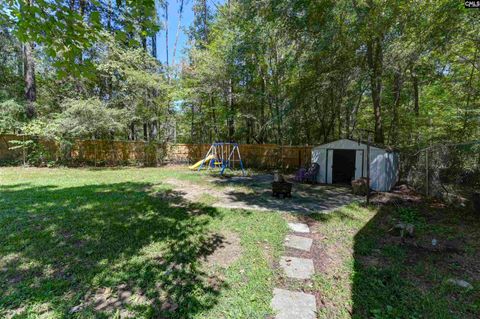 A home in Chapin