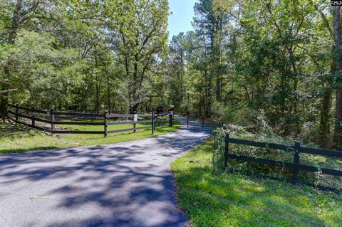 A home in Chapin