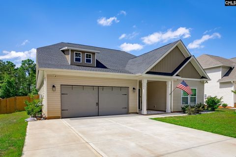 A home in Chapin