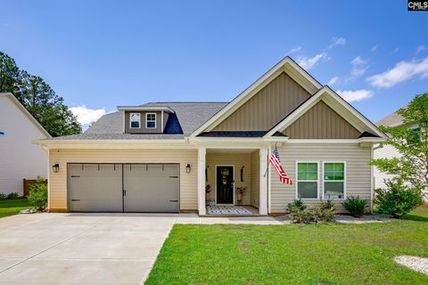 A home in Chapin