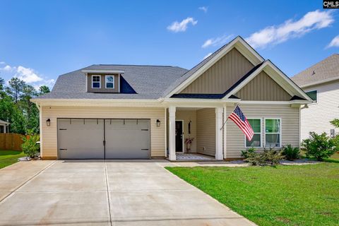 A home in Chapin