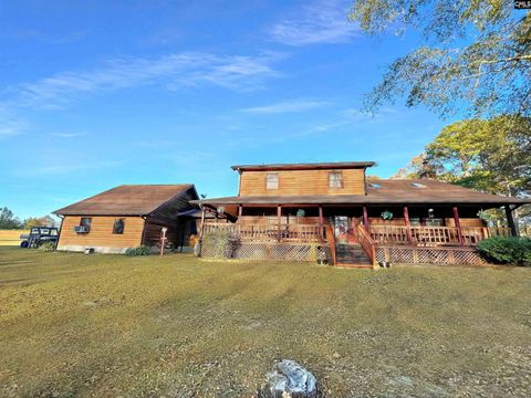 Photo of 606 Shadow Lane Road, Wagener, SC 29164 (MLS # 621723)