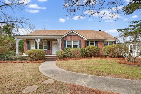 Photo of 2159 New Holland Road, Wagener, SC 29164 (MLS # 628088)