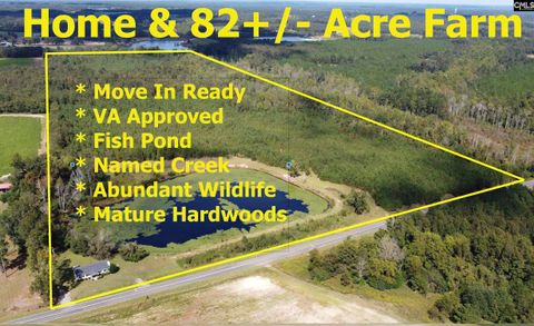 Photo of 1308 Fire Tower Road, Springfield, SC 29146 (MLS # 594781)