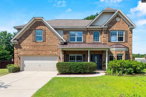 Photo of 222 Pisgah Flats Circle, Lexington, SC 29072 (MLS # 638392)