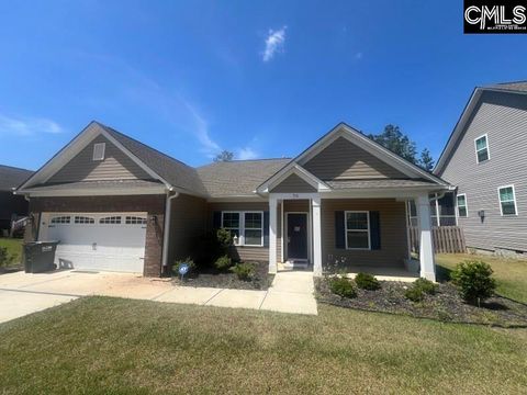 Photo of 516 Mitscher Way, Chapin, SC 29036 (MLS # 636077)