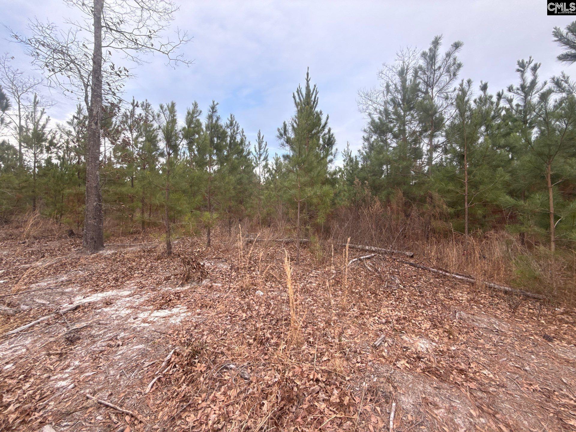 Photo 1 of 13 — QBF 9 Quattlebaum Road QBF 9, Leesville, SC 29070