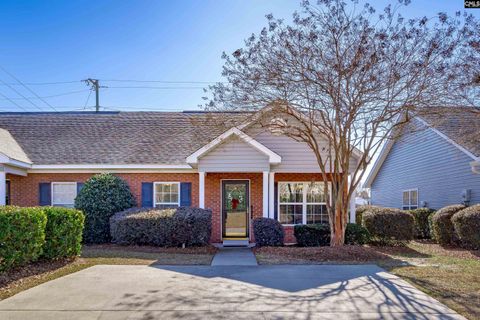 Photo of 111 Courtside Drive, Lexington, SC 29073 (MLS # 624733)