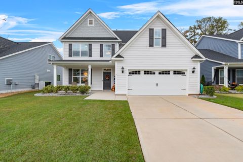 A home in Chapin