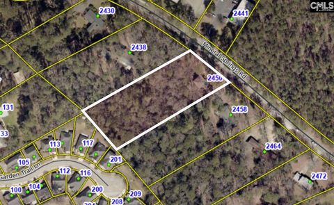 Photo of 2450 Mineral Springs Road, Lexington, SC 29072 (MLS # 628446)